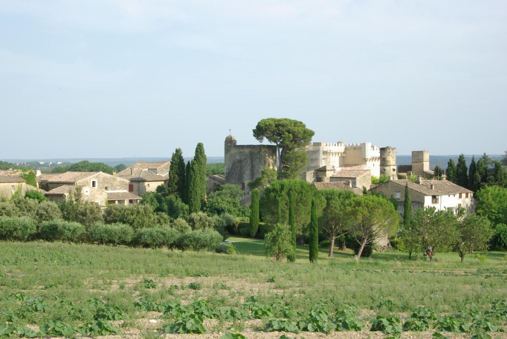 Tour Sarrazine De Montaren Bed & Breakfast Exterior photo
